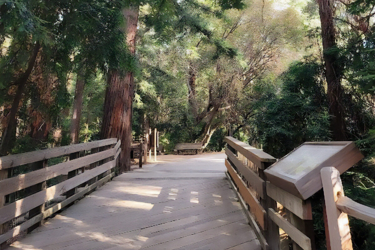 Hiking trails and parks in Los Altos and Los Altos Hills